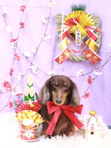 20230113ここあくん